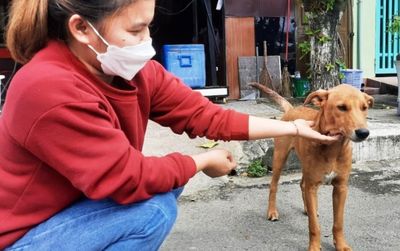 Hội An chính thức trở thành 'thành phố nói không với thịt chó, mèo'