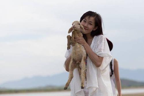 Bí quyết 'săn' cừu khi du lịch Phan Rang - Ninh Thuận