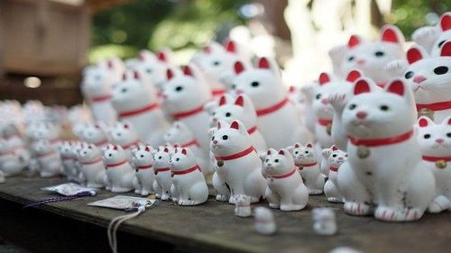 Sự tích thú vị của hàng nghìn ‘chú mèo vẫy gọi’