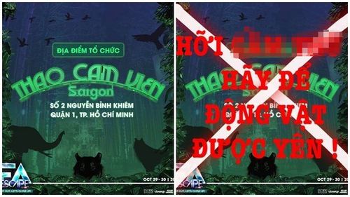 Lễ hội âm nhạc EDM tại Thảo Cầm Viên - sửng sốt với chương trình mạo hiểm nhất thế kỷ!