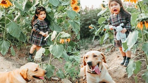 Biểu cảm sợ chó vô cùng đáng yêu của 2 cô bé 'gây sốt' cộng đồng mạng