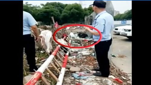 Đốt xác bố ruột tại bãi rác vì muốn tiết kiệm tiền hỏa táng