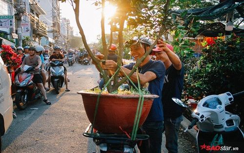 Chiều cuối năm, lang thang ở những chợ hoa truyền thống Sài Gòn đã thấy Tết về đến nơi rồi!