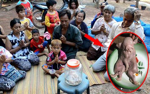 Dân làng thờ cúng lợn 2 đầu kỳ dị để cầu trúng số