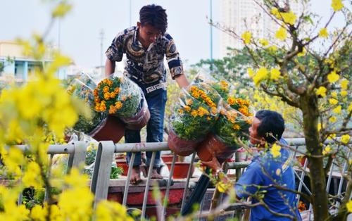 Ngắm nhìn chợ hoa lớn nhất Sài Gòn tấp nập thuyền bè ngày cuối năm