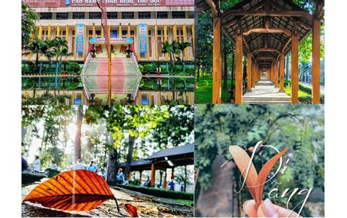 Ngây ngất vẻ đẹp ngôi trường Cao đẳng Công Nghệ Thủ Đức, nơi được ví như 'vườn thượng uyển' giữa lòng Sài Gòn