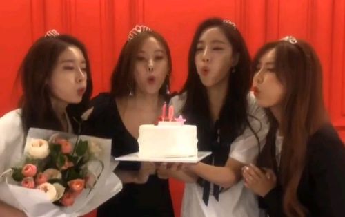 T-ARA kỷ niệm 10 năm debut cùng fan