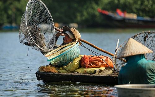 Cào sò thu tiền triệu