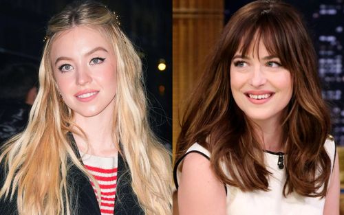4 bóng hồng đình đám Hollywood tham gia Madame Web: Ngoài Dakota Johnson, Sydney Sweeney còn có ai?