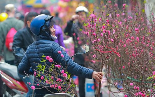 Trình phương án nghỉ Tết Nguyên đán 2025 kéo dài 9 ngày