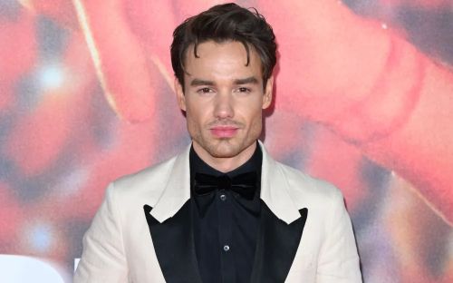 Bắt giữ 3 nghi phạm liên quan đến vụ thành viên One Direction ngã lầu tử vong