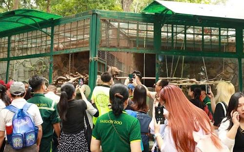 Nợ thuế 800 tỷ đồng, thảo cầm viên TPHCM có nguy cơ ngừng hoạt động