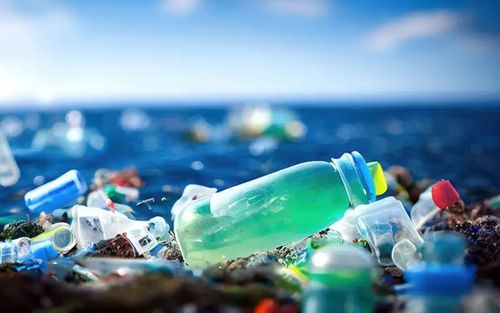 Những món đồ giá rẻ 'rước vào nhà là rước bệnh'