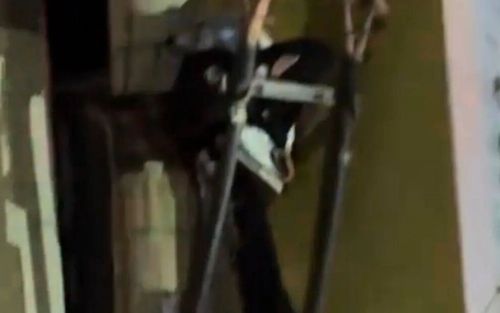 Người đàn ông say rượu bị điện giật dính trên cột điện, cảnh tượng gây bàng hoàng