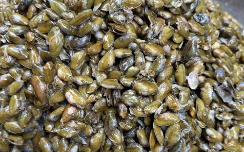 Đặc sản với cái tên nghe là lạ chỉ có ở Quảng Ngãi, phải ăn cùng bánh tráng mới chuẩn bài