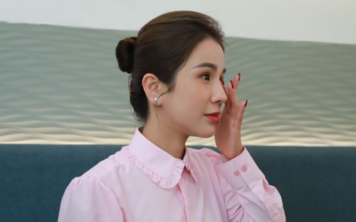 Diệp Lâm Anh nên dừng lại