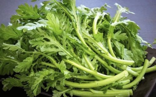 Loại rau dân dã tốt cho sức khỏe gấp 30 lần thịt bò, chợ Việt Nam bán cực rẻ, gặp mua ngay