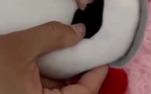 Mua gấu bông trên mạng, người phụ nữ 'lạnh sống lưng' khi phát hiện thứ được giấu bên trong