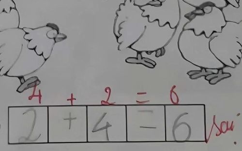 Học trò làm bài toán '2+4=6' bị chấm sai, nhiều người lại đồng tình với giáo viên