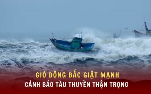 Gió Đông Bắc giật mạnh, sóng biển cao: Cảnh báo tàu thuyền thận trọng