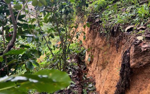 Xuất hiện vết nứt dài 100m ở Lâm Đồng, có nguy cơ sạt lở