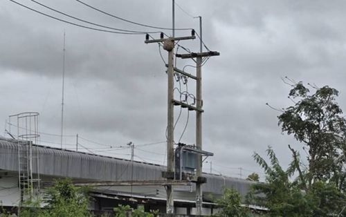 Nam thanh niên trèo lên cột điện lấy tổ ong về làm mồi nhậu, sự việc sau đó khiến nhiều người bàng hoàng