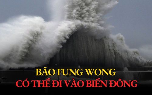 Bão Fung-Wong hình thành, có thể đi vào Biển Đông
