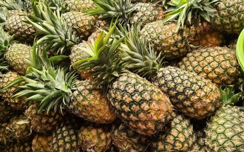 5 loại trái cây Việt sạch tự nhiên tốt cho sức khỏe, không lo hóa chất độc hại