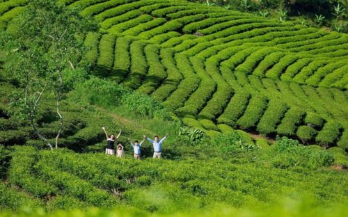 Những địa điểm nức tiếng ở Đà Lạt nên ghé trong dịp Tết Dương lịch 2026