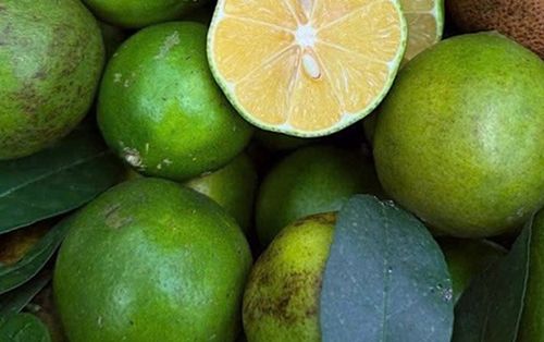 Điều gì sẽ xảy ra với sức khỏe nếu uống chanh ấm mỗi ngày?