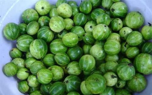 Loại quả trước mọc dại nay được người dân vun xới, phải nấu với thịt ba chỉ mới ngon đúng điệu