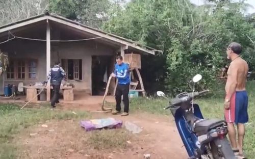 Dọn nhà đón năm mới, chủ nhà sửng sốt khi phát hiện 'vị khách' nguy hiểm