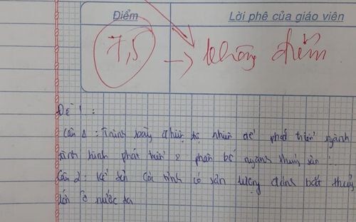 Bài kiểm tra làm đúng nhưng bị chấm 0 điểm, nhiều người vẫn bênh vực giáo viên