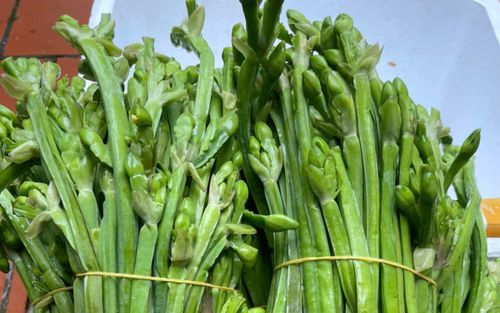 Loại rau mọc dại ở miền Tây, được săn đón nhiều nhất vào mùa nước nổi