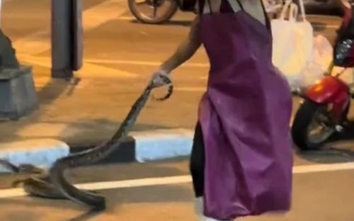 Người đàn ông dùng tay kéo lê con rắn khổng lồ giữa đường, ai đi ngang cũng kinh ngạc