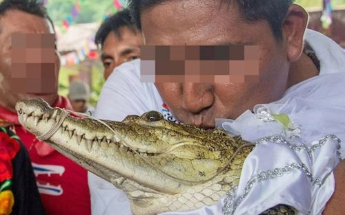 Trưởng làng lấy con cá sấu làm vợ, cho mặc đồ cô dâu trong ngày cưới