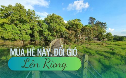 Mùa hè này, đổi gió lên rừng xem sao?