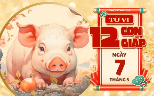Tử vi hôm nay 7/5: 3 con giáp làm đâu thắng đó, tài lộc ồ ạt đổ về