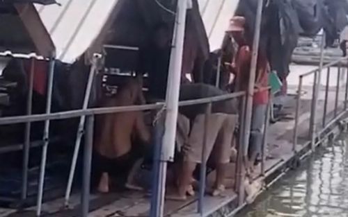 Nữ sinh viên dũng cảm cứu sống bé gái bị đuối nước khi tắm biển