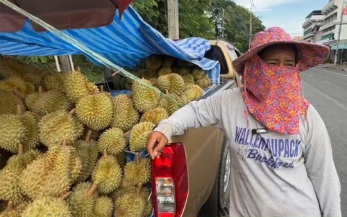 Khách giả vờ mua sầu riêng 2 triệu rồi phóng xe bỏ chạy, nữ tiểu thương bất lực đứng nhìn