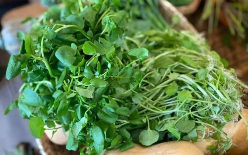 2 loại rau dễ nhiễm ký sinh trùng nhưng lại ngừa ung thư, nhiều dinh dưỡng