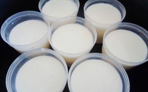 Ăn sáng cùng sữa chua: Lợi ích hay rủi ro cho hệ tiêu hóa?