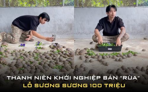Thanh niên khởi nghiệp bán 'rùa', lỗ sương sương 100 triệu vì không ai mua
