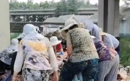 Xe tải gặp nạn, dân làng tràn xuống 'hôi của' hơn 10 tấn hàng đông lạnh