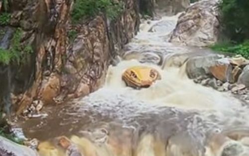 Đầu 'con trăn' khổng lồ nhô lên giữa dòng suối, khách du lịch hoảng loạn vì sợ hãi