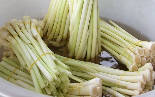 Loại cỏ dại từng bị nhổ bỏ nay thành đặc sản miền Tây không thuốc trừ sâu, ăn giòn sật
