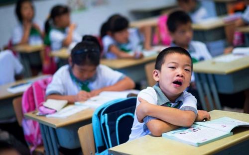 Từ 2026, giáo viên vi phạm dạy thêm sẽ bị xử lý theo Luật Nhà giáo