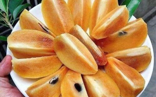 Loại quả quen mặt ở nhiều vườn nhà lại là 'kho báu dinh dưỡng' đối với sức khoẻ