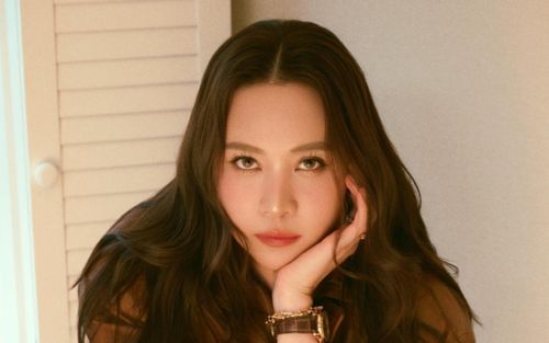 Bộ sưu tập đồng hồ hơn 5 tỷ của vợ Cường Đô La