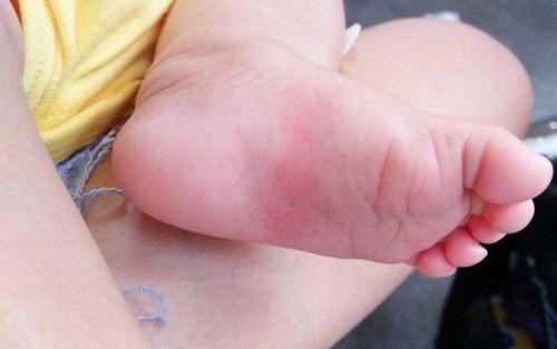 Hiếm gặp: Một bé trai được công nhận có 3 cha mẹ hợp pháp